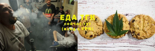 дмт Бородино