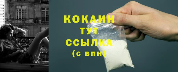 дмт Бородино