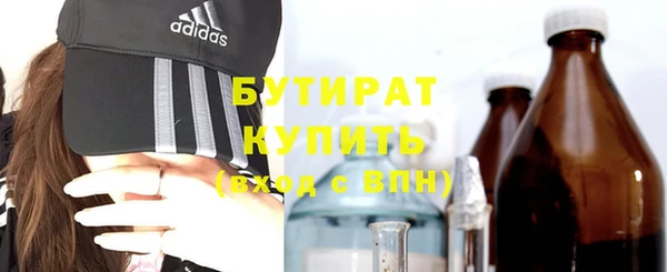 дмт Бородино