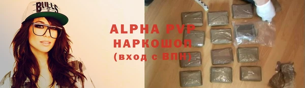 дмт Бородино