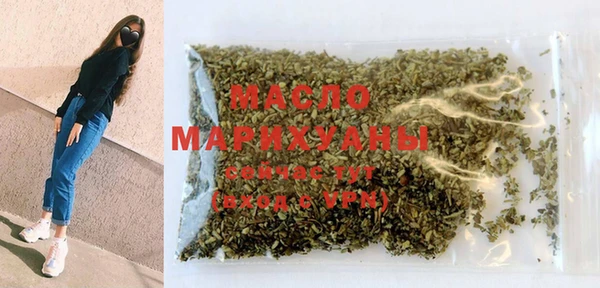 дмт Бородино