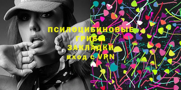 PSILOCYBIN Бронницы