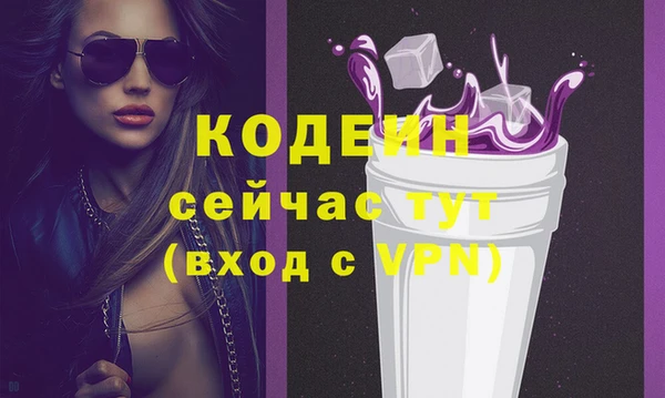 дмт Бородино