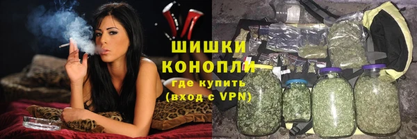 PSILOCYBIN Бронницы