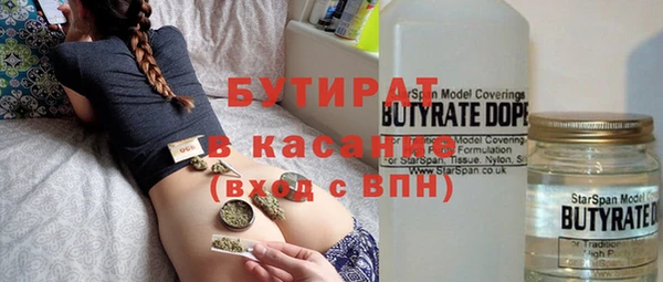 дмт Бородино