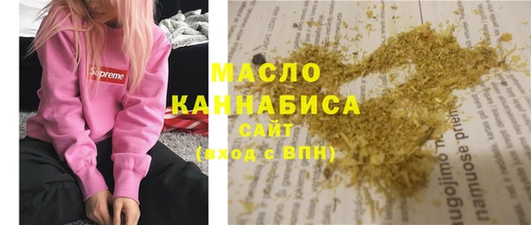 дмт Бородино