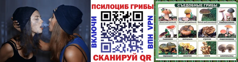 Псилоцибиновые грибы мухоморы  даркнет клад  Катайск 